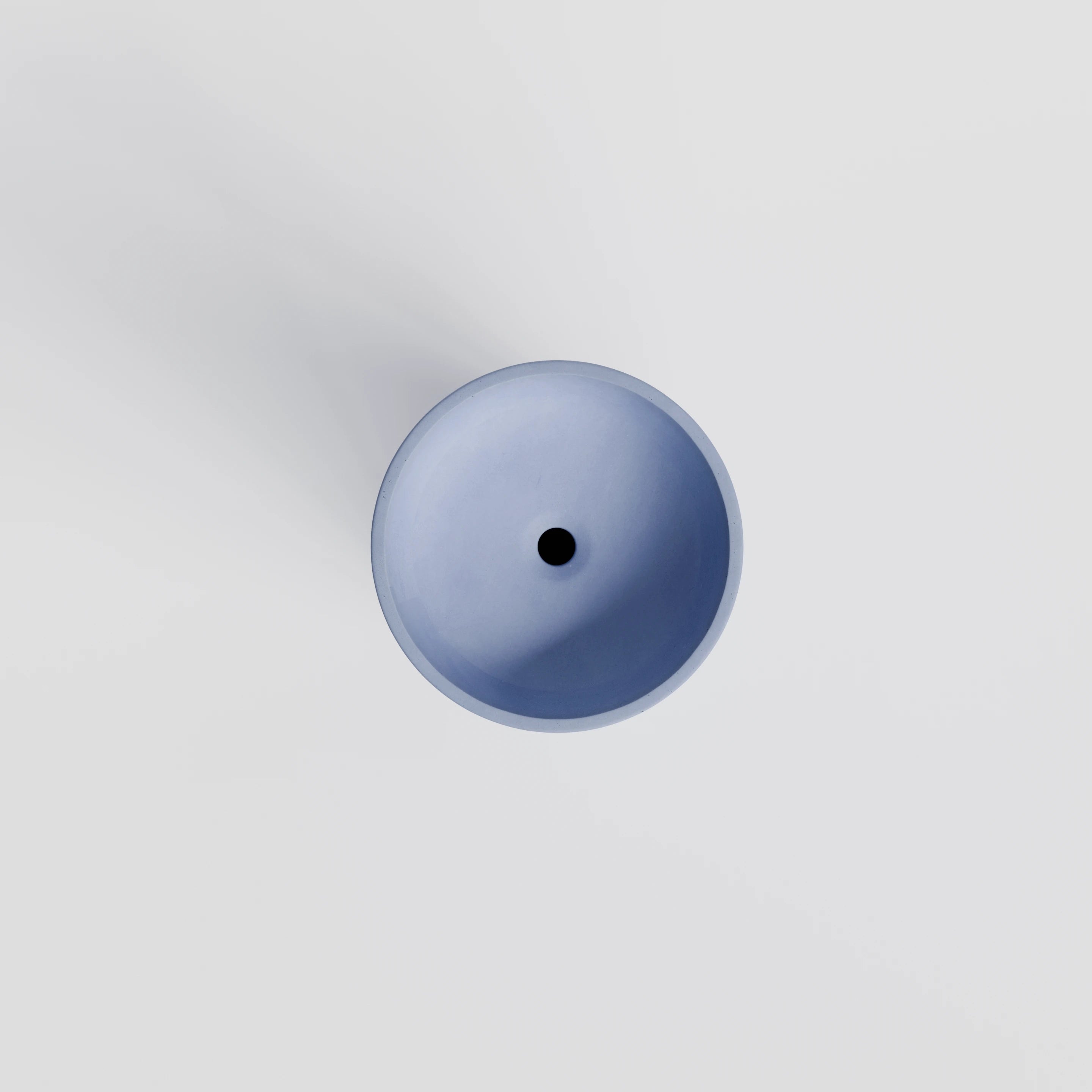 Bluebottle