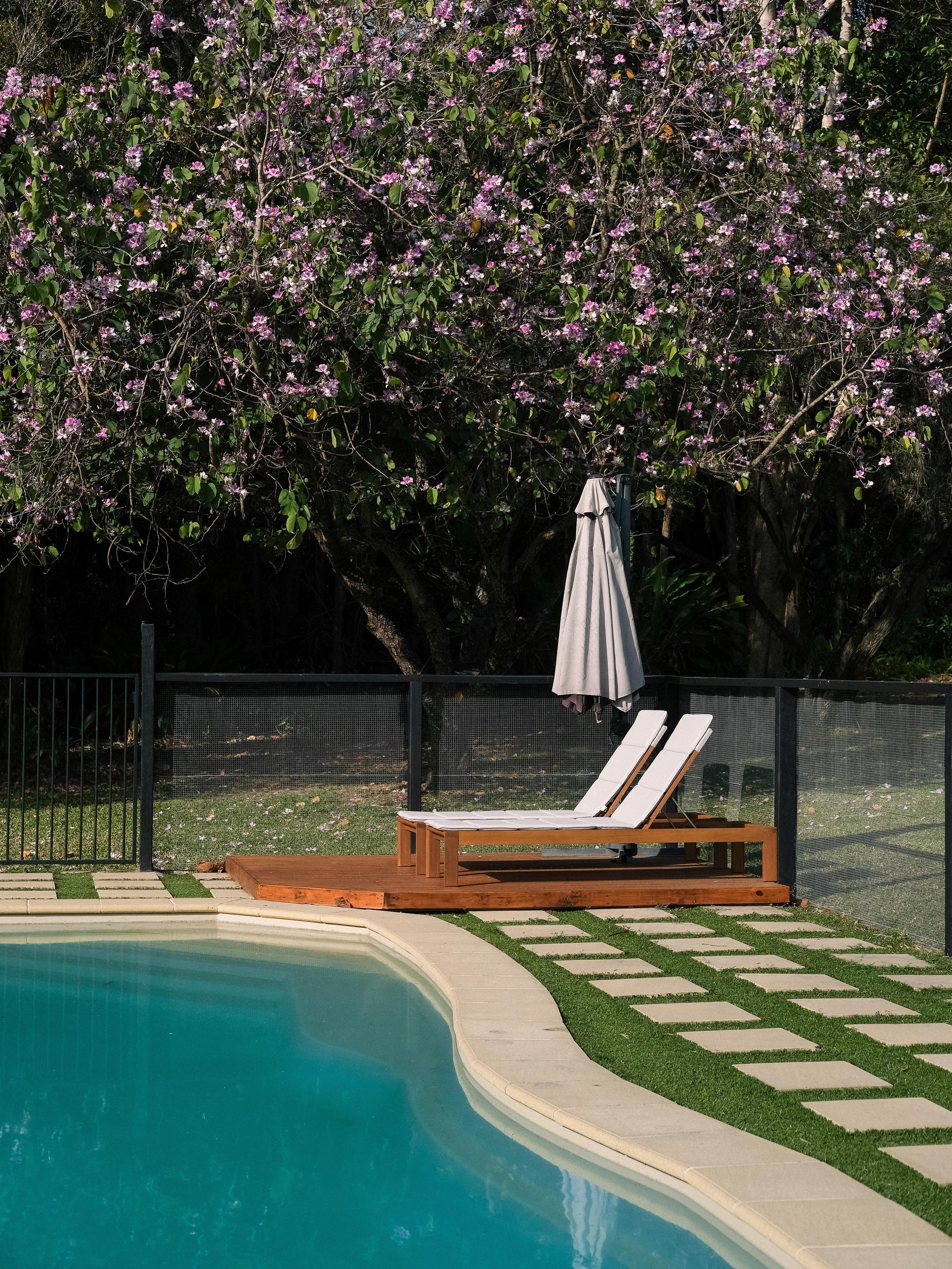 : A serene poolside setting featuring two white sun loungers on a timber platform with a closed grey umbrella behind them. The curved edge of a turquoise swimming pool is in the foreground, while square concrete pavers are set into grass around it. Behind the loungers, a flowering tree with vibrant purple blossoms creates a lush natural backdrop.