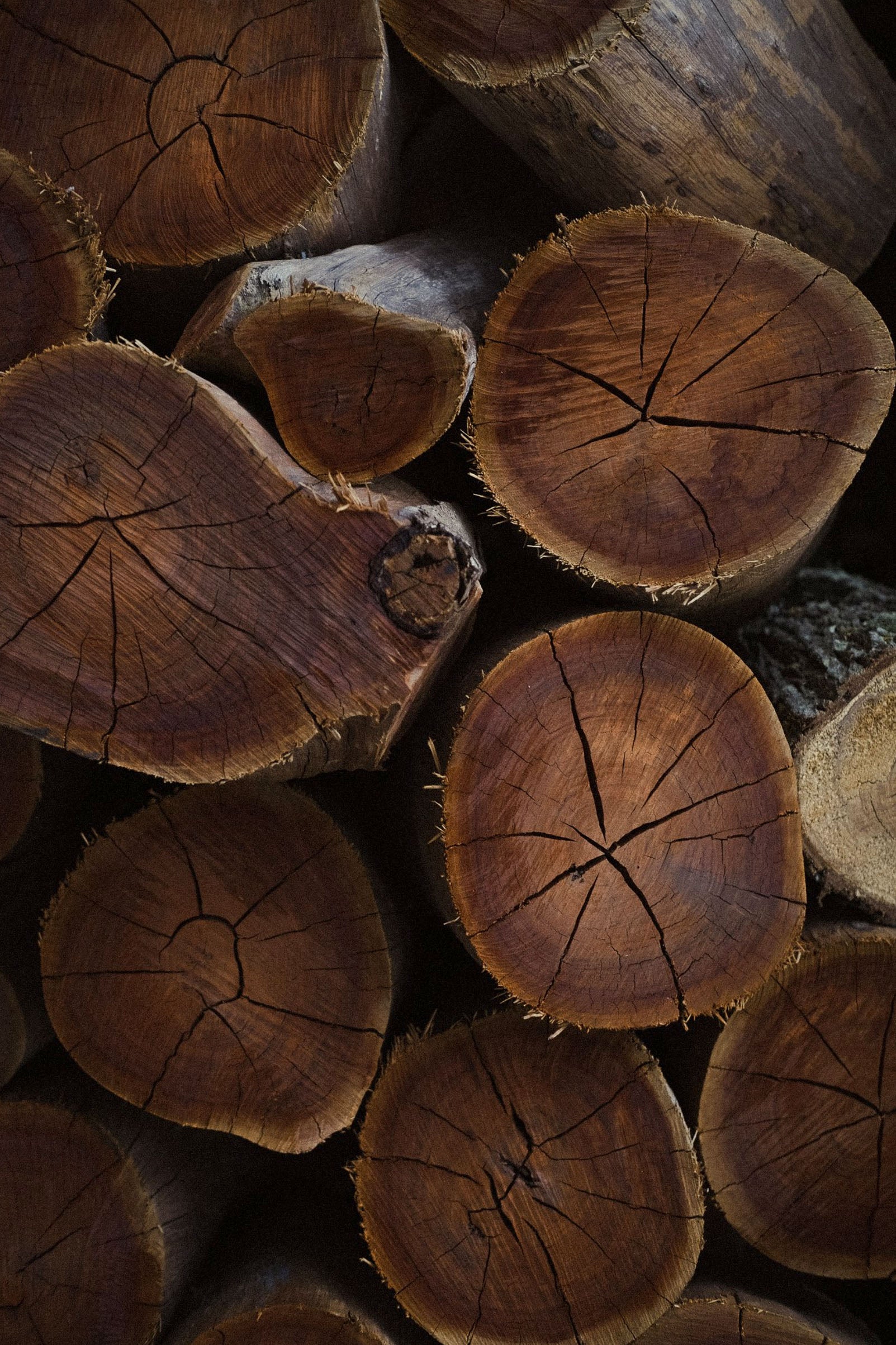A close up of firewood stacked.