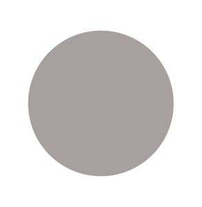 Koala Grey